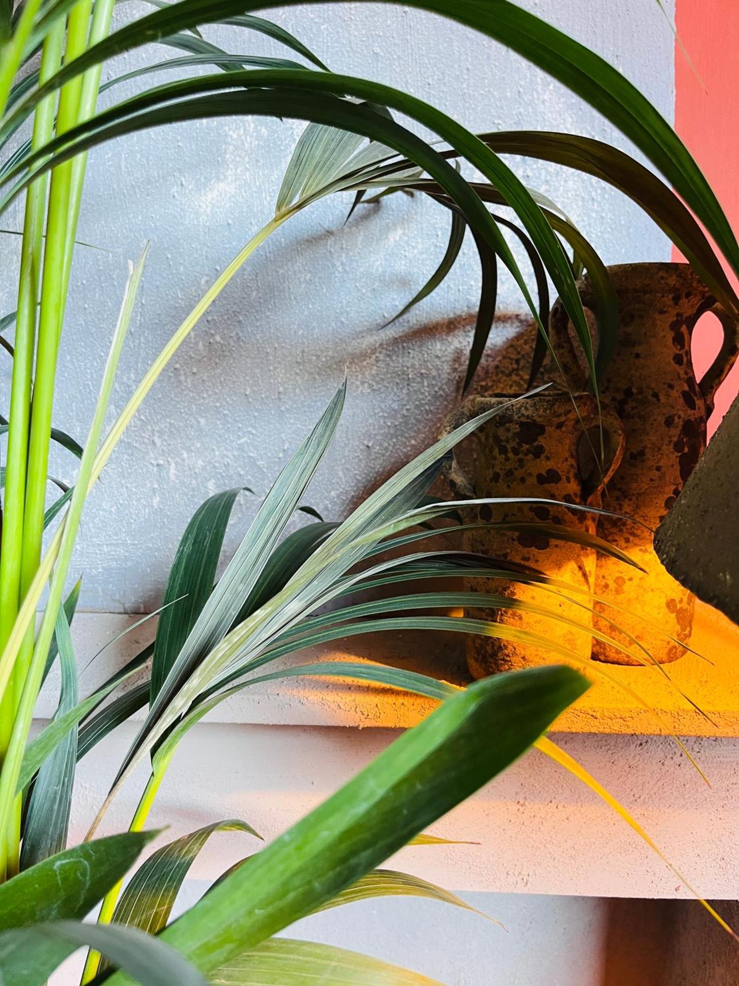 Guesthouse Nights By Morpheus Antwerp Luaran gambar